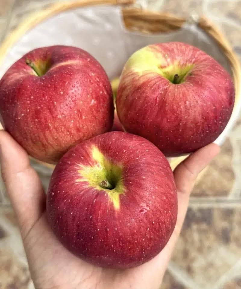 Doctors Reveal That Eating Apples Causes Surprising Changes in Your Body