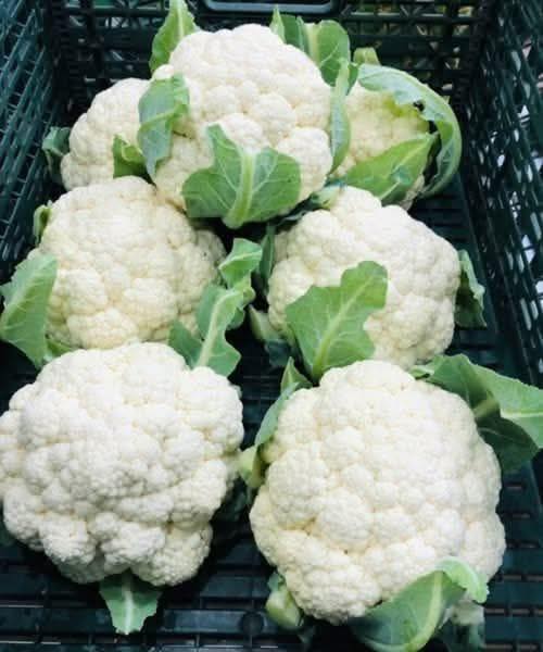 Doctors Reveal That Green Cauliflower Causes Some Surprising Health Benefits — and It’s Worth Adding to Your Plate