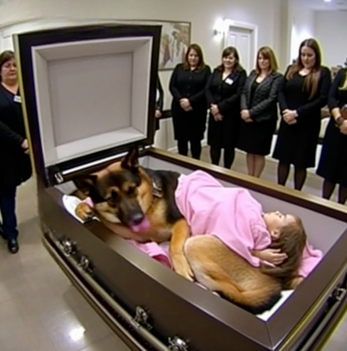 Little Girl’s Funeral Takes Shocking Turn When Loyal Dog Won’t Leave Her Side