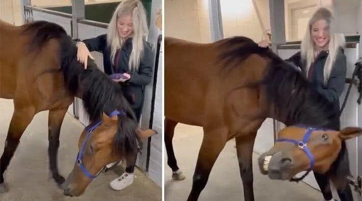 Young woman was hospitalized after being pen …See more