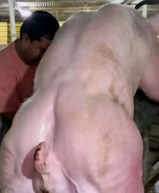 Young man hospitalized after being penitentiated…See mor