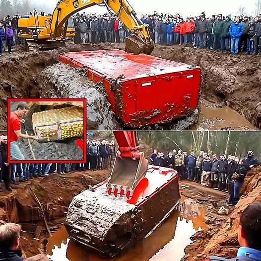 THEY FOUND IT! Legendary Treasure of Oak Island Discovered in Smith’s Cove, and Then THIS Happened