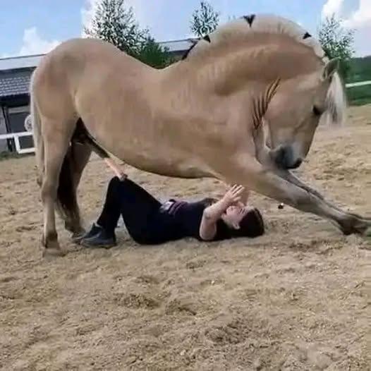 Girl was hospitalized for…See more