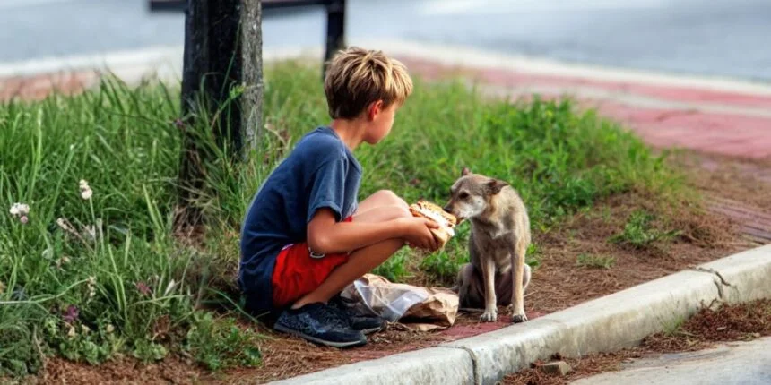 My Son Shared Half His Lunch with a Stray Dog Every Day – Until a Red SUV Stopped Beside Him