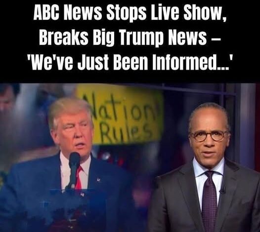 ABC News Stops Live Show, Breaks HUGE Trump News: ‘We’ve Just Been Informed…See more