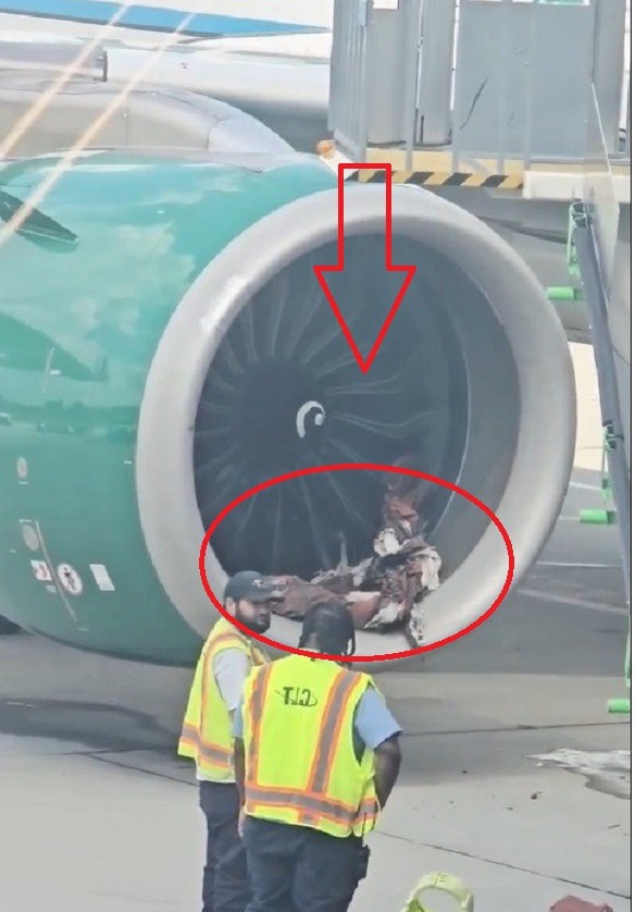 💔😱 HORROR ON THE TARMAC: A Frontier plane’s engine shredded…Video in comments