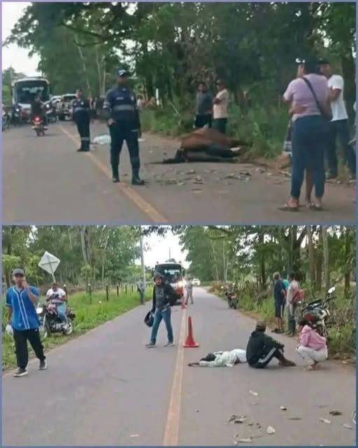 🚨 Man and granddaughter die after collision with horse in Ciudad…See more