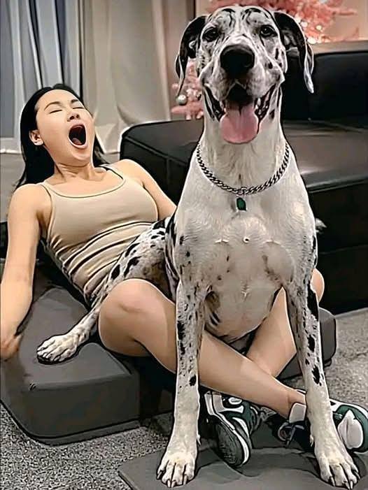 Young woman hospitalized after being tortured…See more