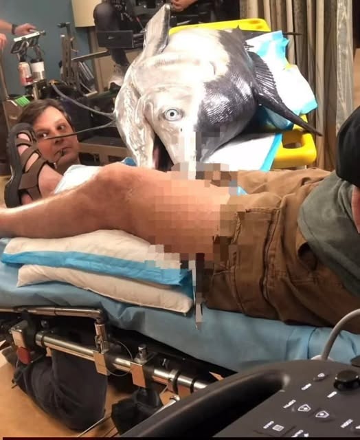 Young woman hospitalized after being pricked… See more