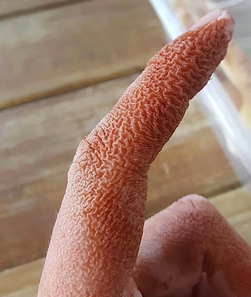 ALERT These are the signs that it is cre…See more