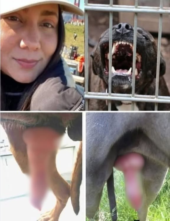 The girl who was ingr3sed for be!ng a pen…See more