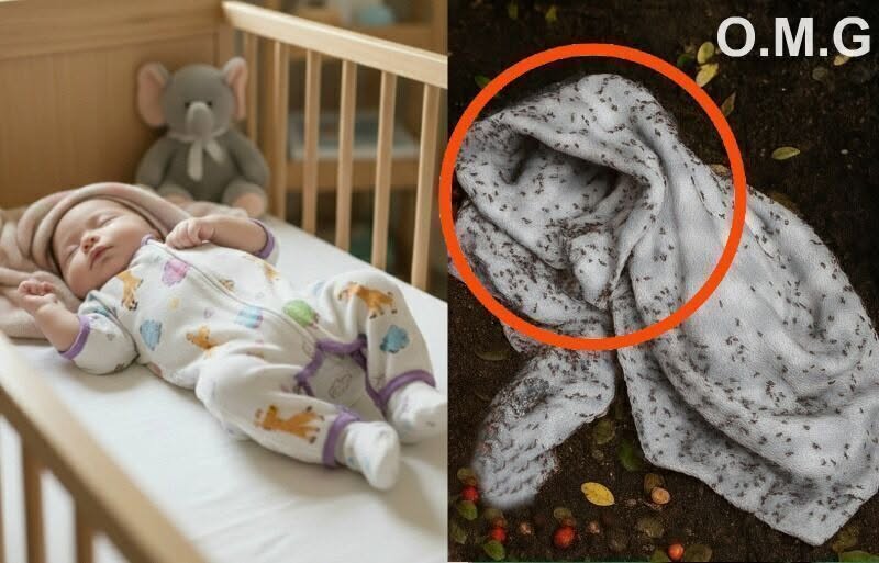 Newborn abandoned and full of… See more