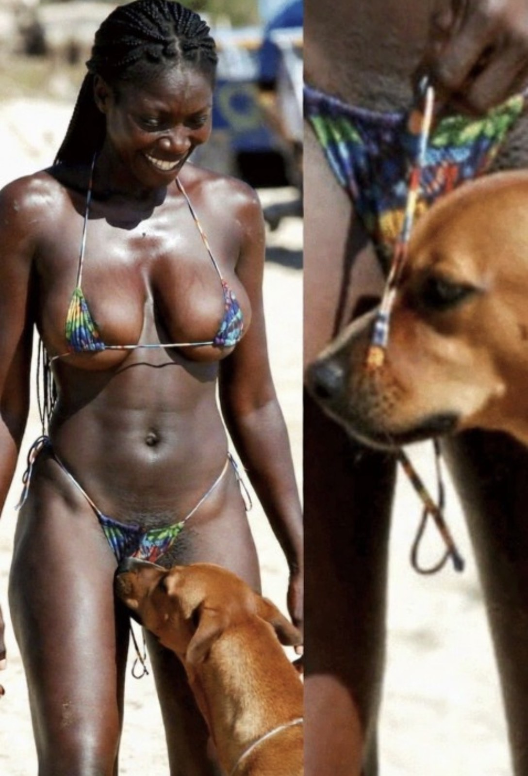 If your dog is sniffing your gen!tal area, it means you have…see more.