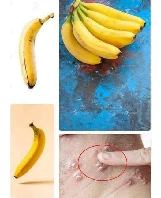 Did you know that it you eat BANANA EVERY DAY your body can..See more in first comment
