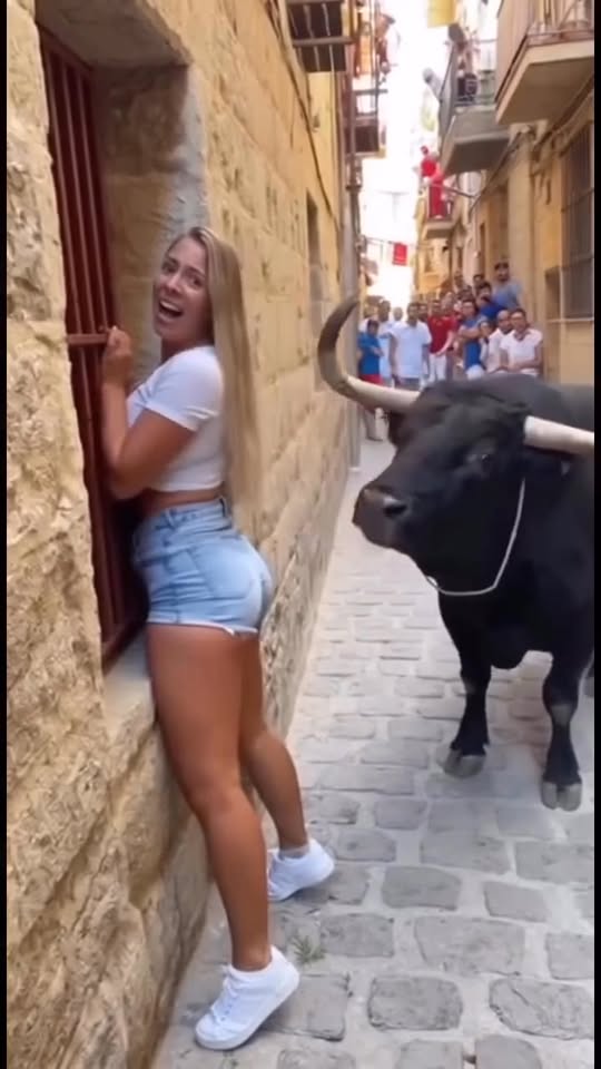 Bull Corners Beautiful Tourist — Seconds Later, Nobody Could Believe Their Eyes