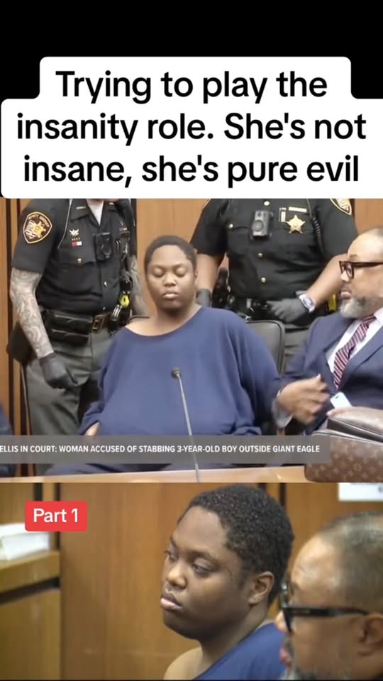 Woman Tries To Fake Insanity In Court, Judge Calls Out Her “Pure Evil”