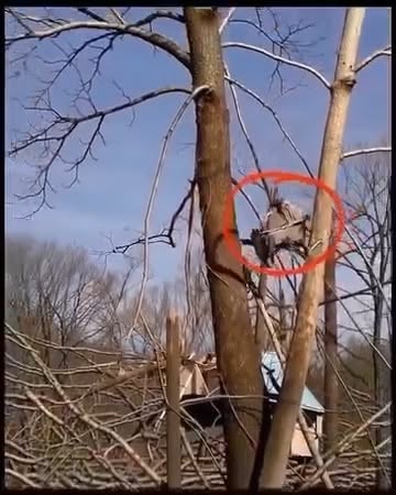 Is this a miracle or what? After a Severe Storm, a Tennessee Family Found Courage, Support, and Unity
