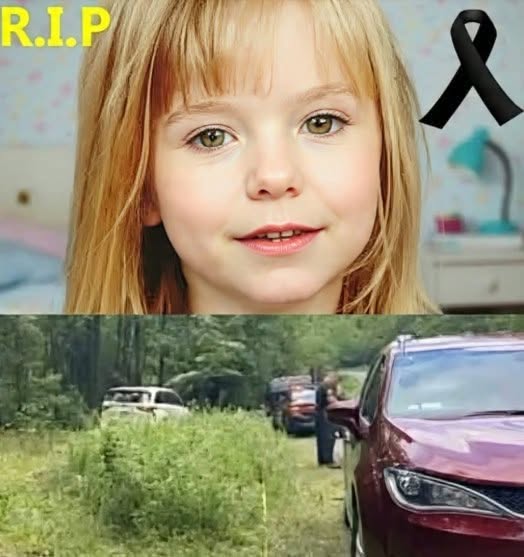 Missing girl found in the woods, her father was the one who…See more.