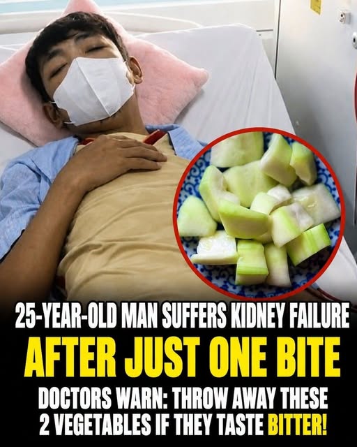 25-Year-Old Man Suffers Kidney Failure After Just One Bite
