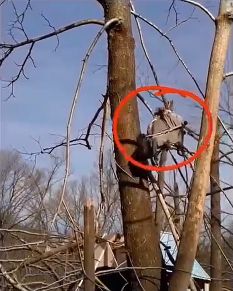 The shocking events behind this tale will blow your mind