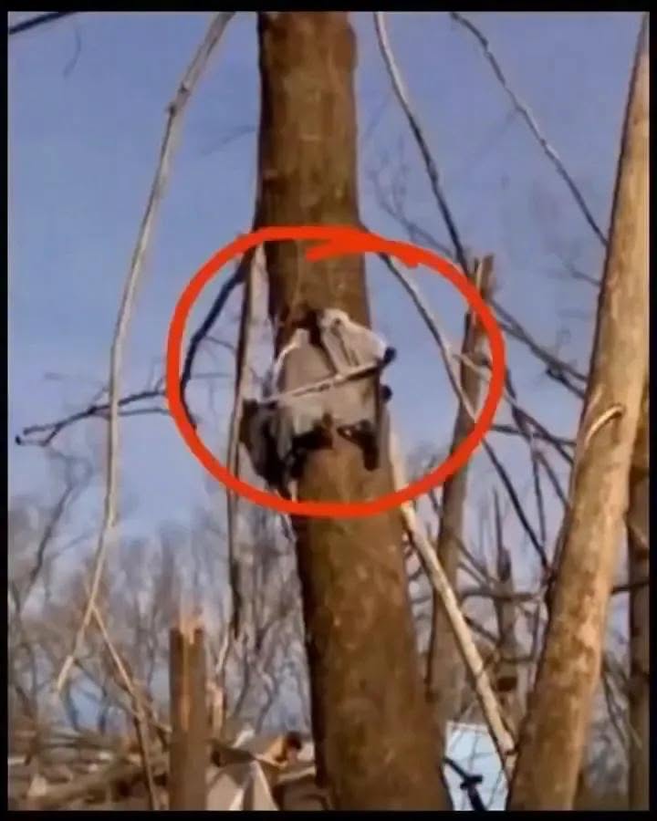 🔴If this is not a miracle, then tell me what it is 😨Details of this shocking true story are in the first comment below 👇