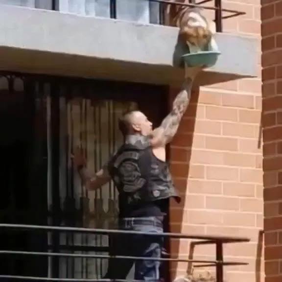 I Called the Cops on a Biker — What He Was Feeding Surprised Me