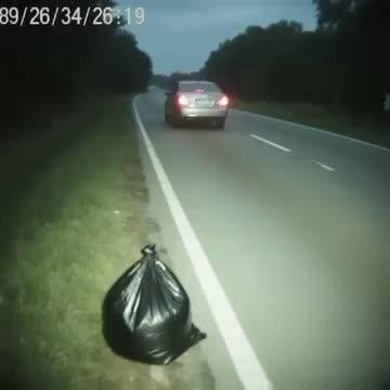 The driver was driving silently, staying close to the center of the road. On the passenger seat, an old dog was dozing. 😱😱 T… See more