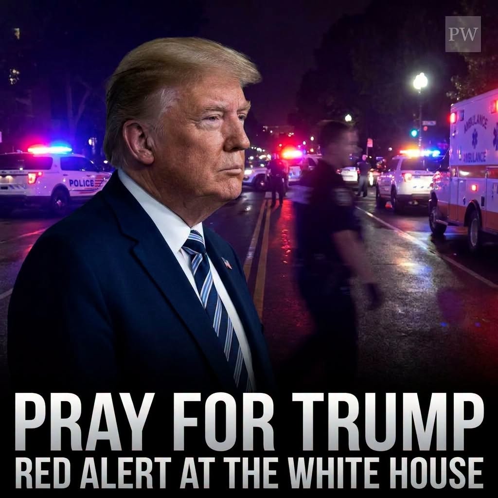 Very Dangerous Concerning President Donald Trump Faces Warning ….