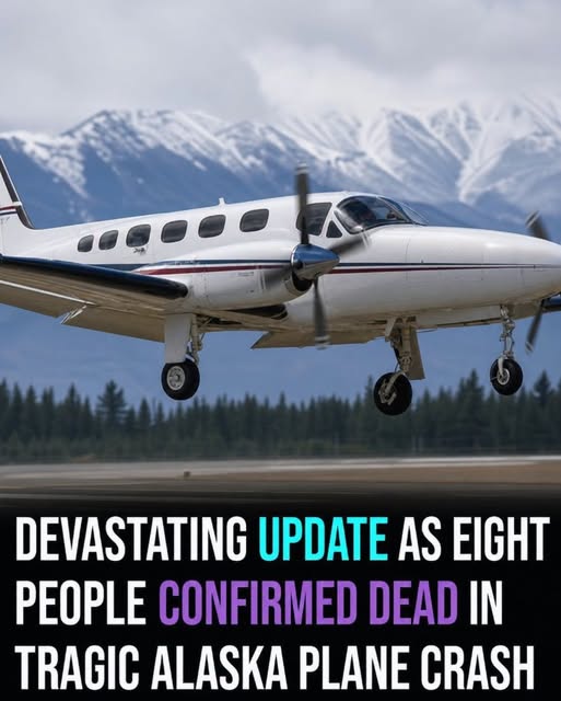 Eight killed as charter plane crashes near remote Alaska radar site