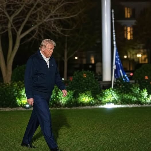 Breaking news: Trump seen with a…See more ͏