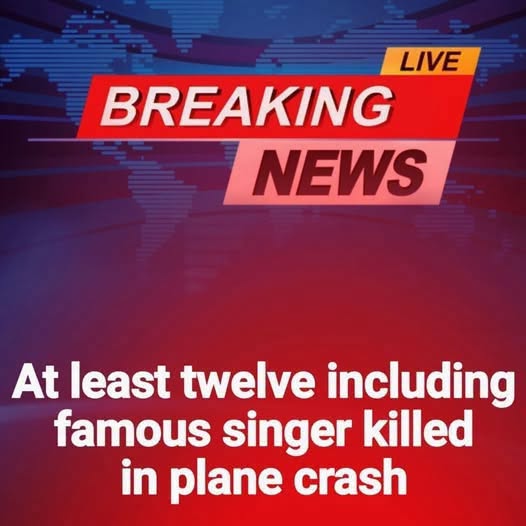 Twelve dead including famous singer in plane crash off remote island…. Read … See more
